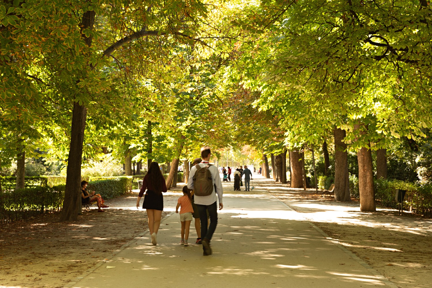 Tout ce que les villes ont à gagner à créer des îlots de fraîcheur