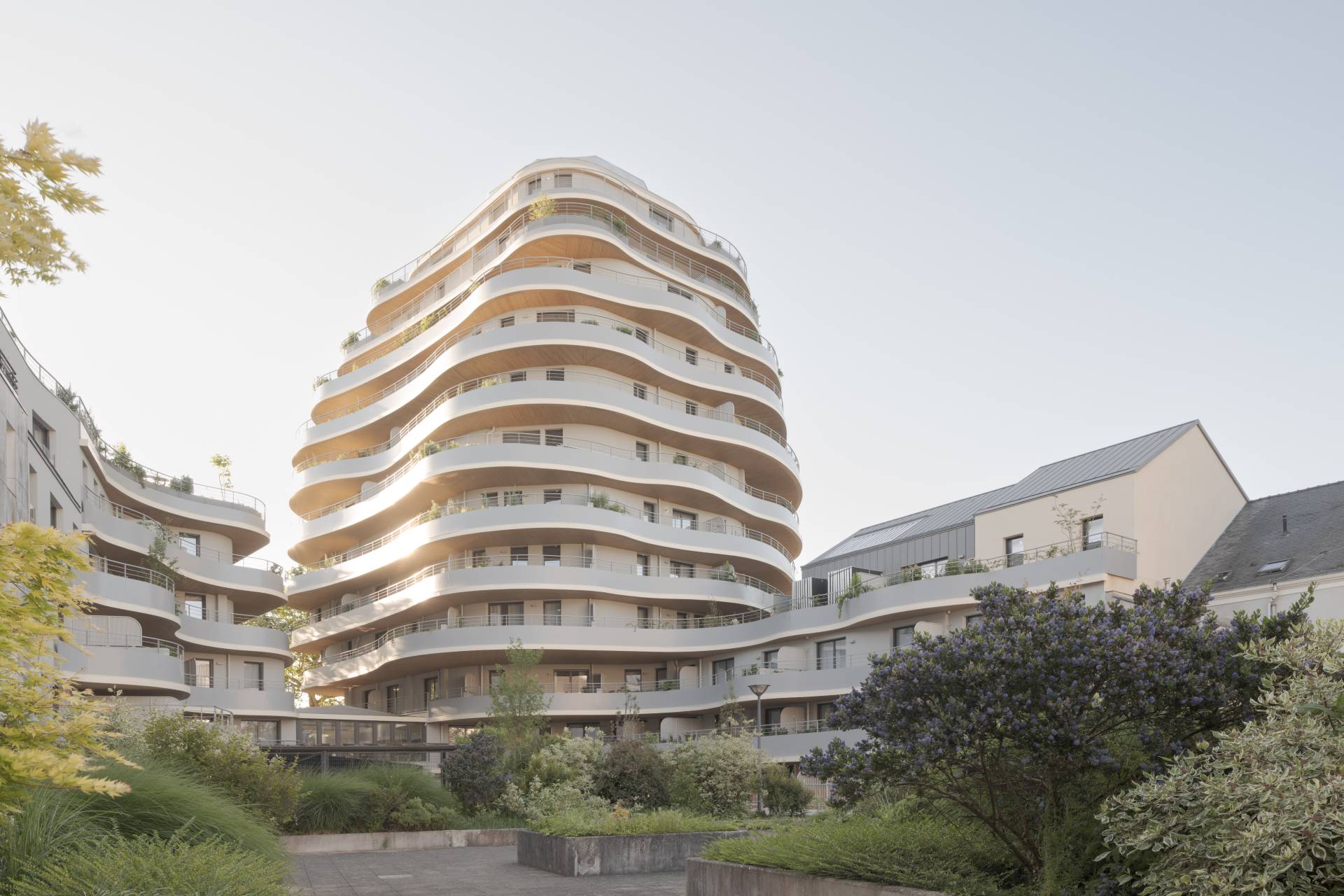 immeuble arbre angers arborescence